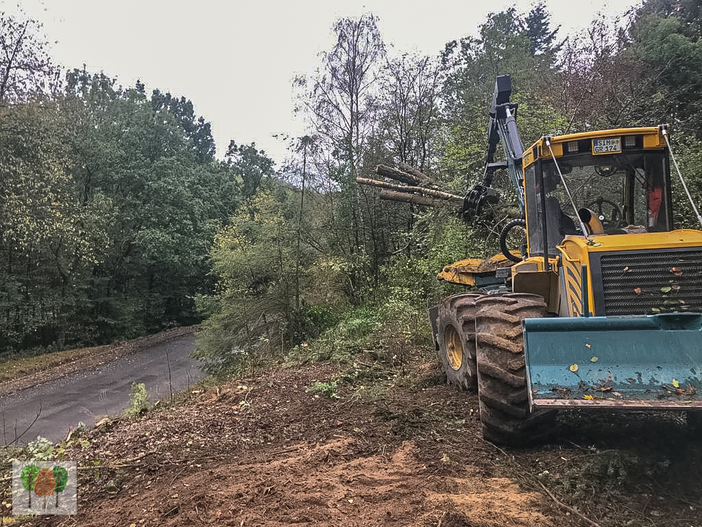 Verkehrssicherungsmaßnahme Holz Gros Rickus Beltheim